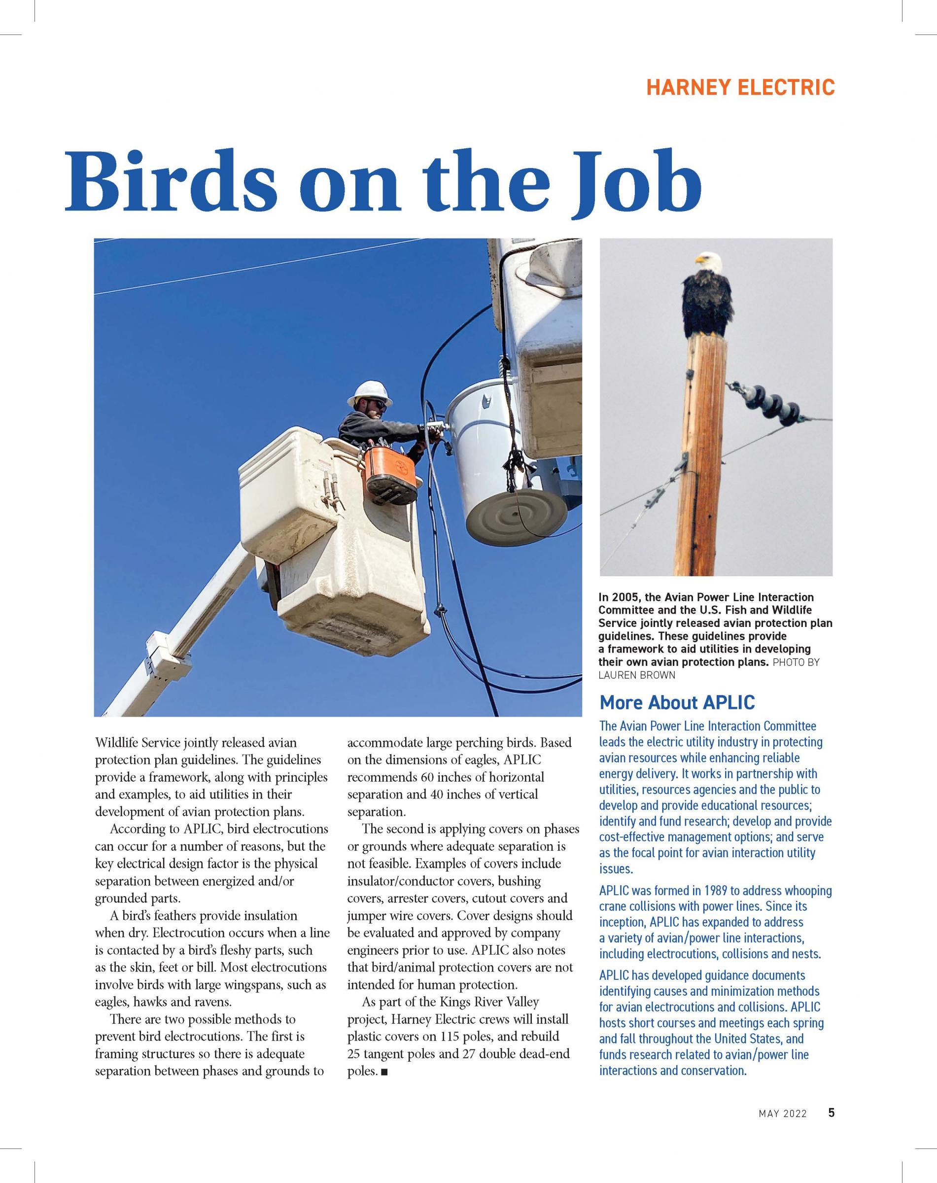 May Ruralite Dallon Higgins Apprentice Lineman Harney Electric